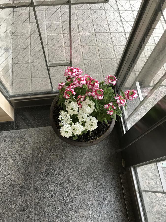Career Cooporation Hotel Osaka Eksteriør billede